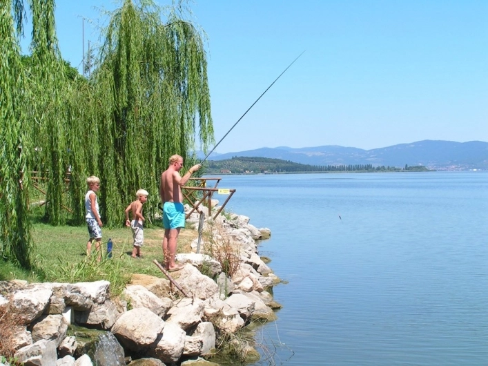 zobacz camping - zdjęcie 13