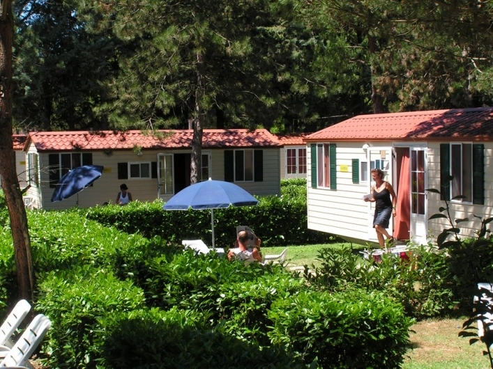 zobacz camping - zdjęcie 9