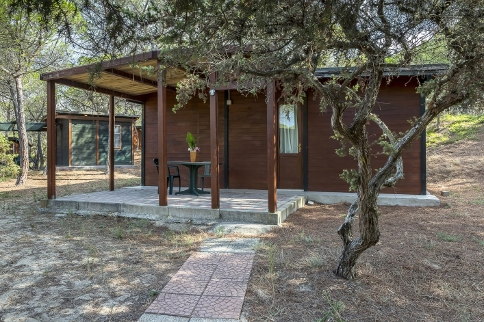 zobacz camping - zdjęcie 20