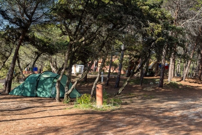 zobacz camping - zdjęcie 16