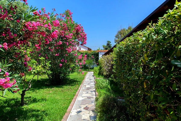 zobacz camping - zdjęcie 21