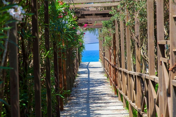 zobacz camping - zdjęcie 12