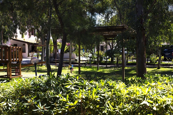 zobacz camping - zdjęcie 7