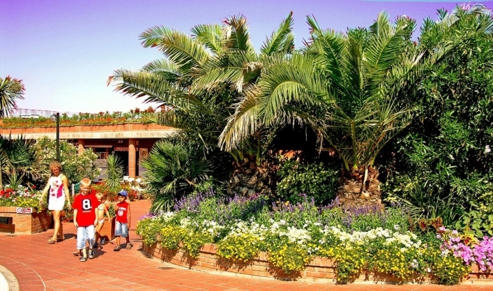 zobacz camping - zdjęcie 22