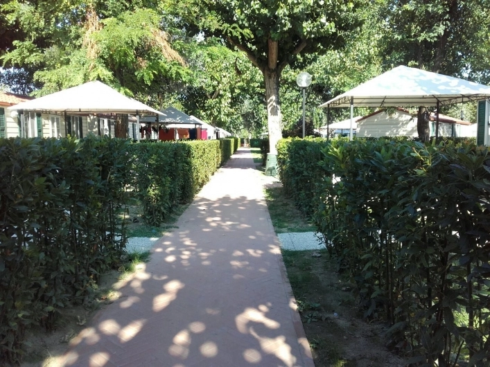 zobacz camping - zdjęcie 7