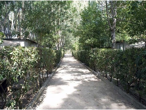 zobacz camping - zdjęcie 15