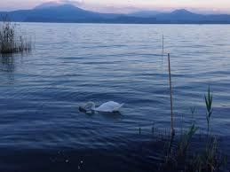 zobacz camping - zdjęcie 17