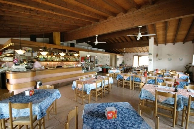 zobacz camping - zdjęcie 13