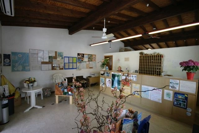 zobacz camping - zdjęcie 12