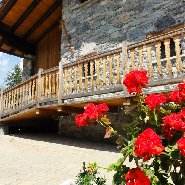 zobacz camping - zdjęcie 35