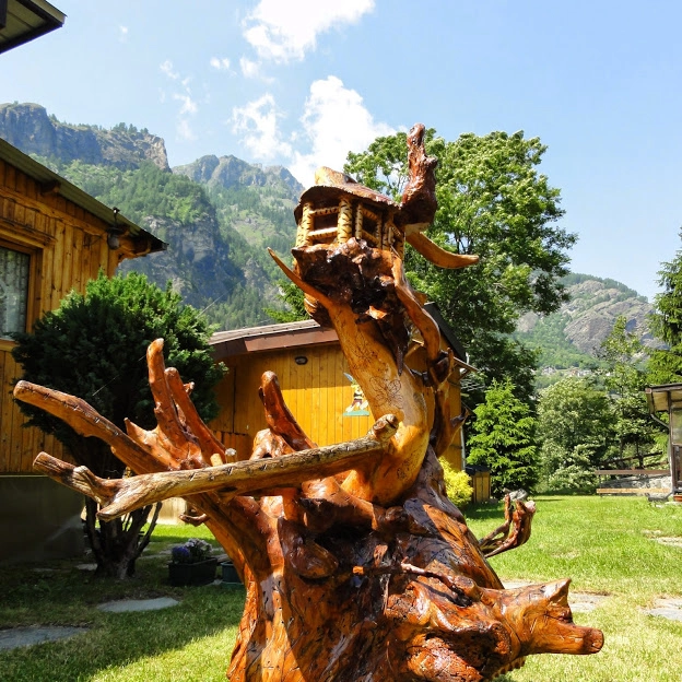 zobacz camping - zdjęcie 30