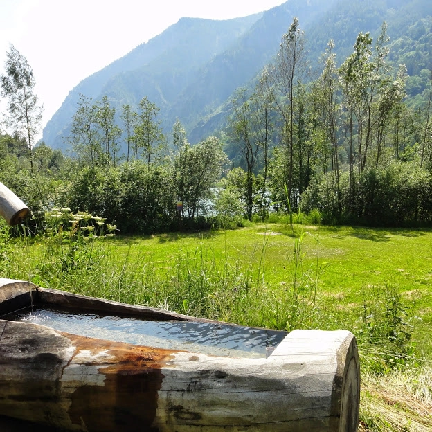 zobacz camping - zdjęcie 24