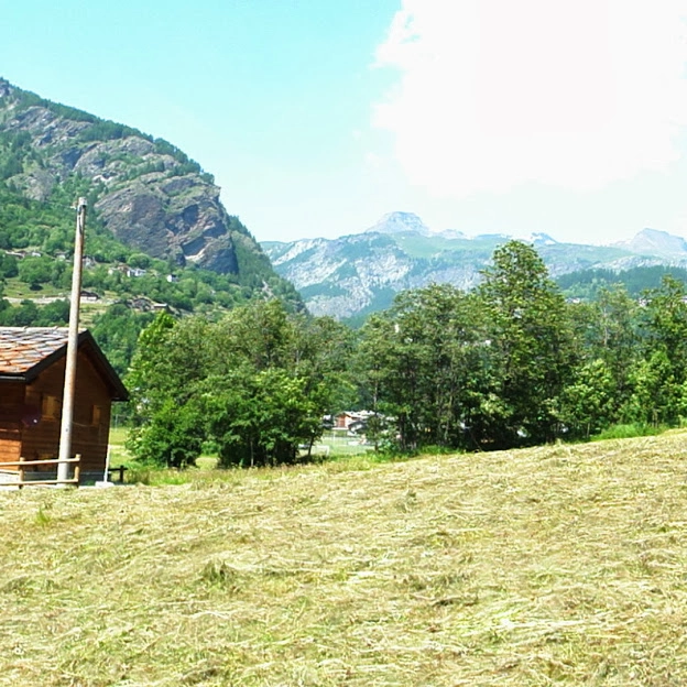 zobacz camping - zdjęcie 22