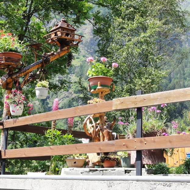 zobacz camping - zdjęcie 16