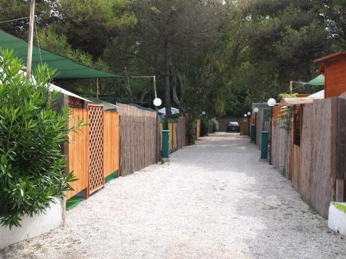 zobacz camping - zdjęcie 9