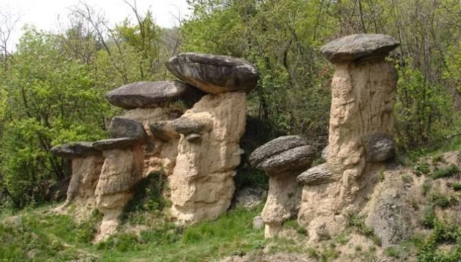 zobacz camping - zdjęcie 9