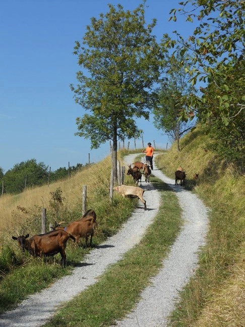 zobacz camping - zdjęcie 17
