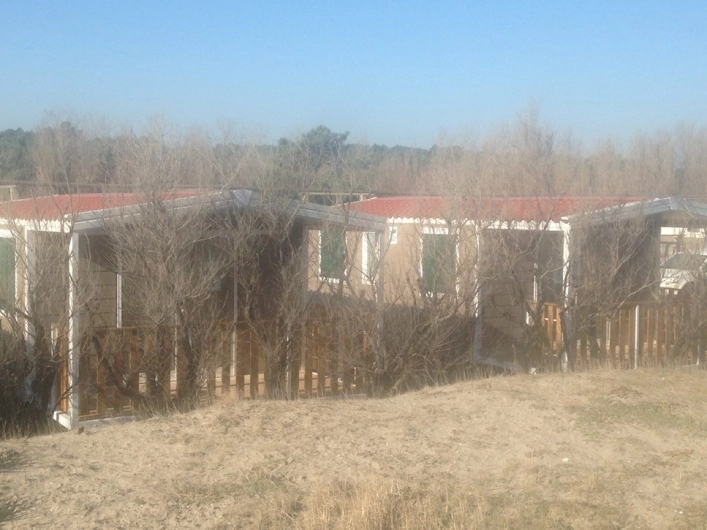 Camping Vittoria - zdjęcie 1