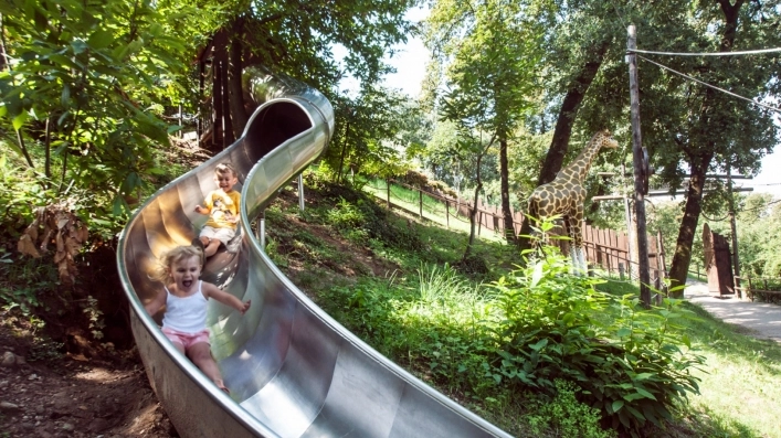 zobacz camping - zdjęcie 38