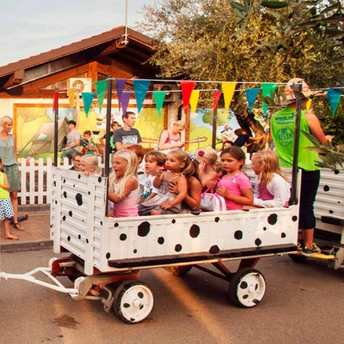 zobacz camping - zdjęcie 26