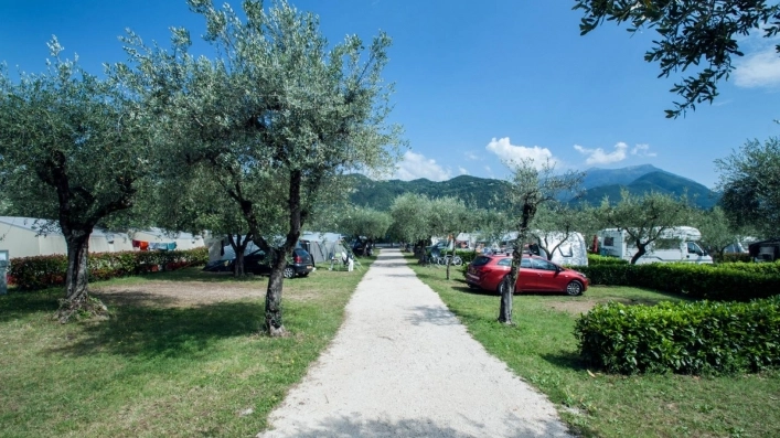 zobacz camping - zdjęcie 16