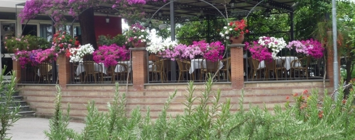 zobacz camping - zdjęcie 22