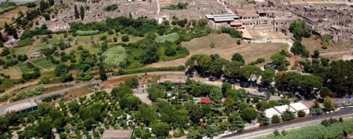 zobacz camping - zdjęcie 17