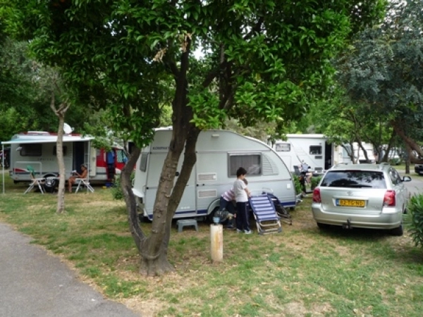zobacz camping - zdjęcie 14