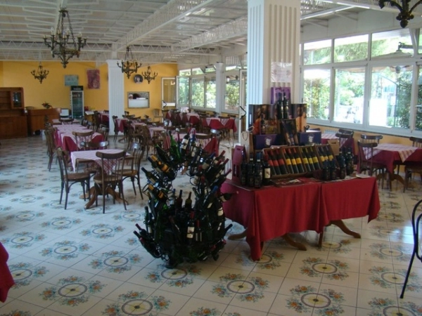 zobacz camping - zdjęcie 13