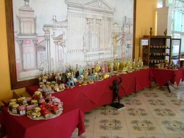 zobacz camping - zdjęcie 10