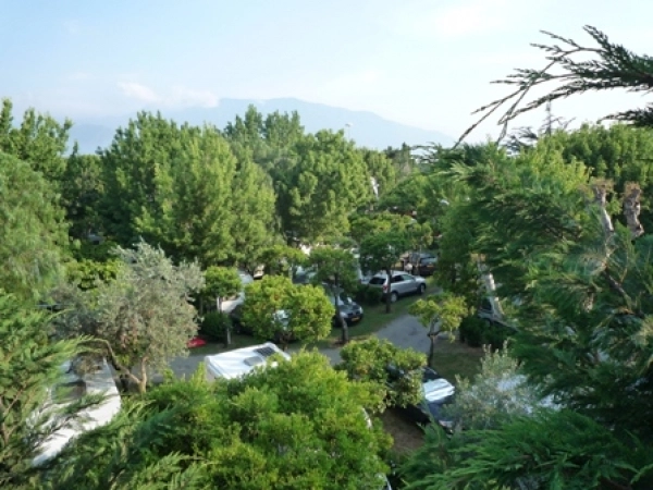 Camping Zeus - zdjęcie 3