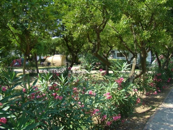 zobacz camping - zdjęcie 2