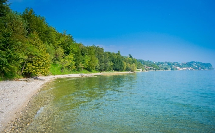 zobacz camping - zdjęcie 26