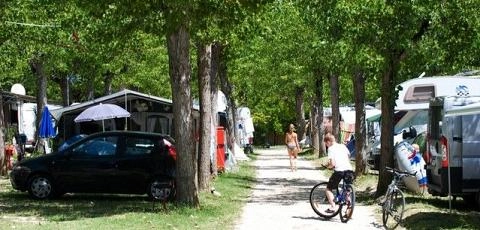 zobacz camping - zdjęcie 14