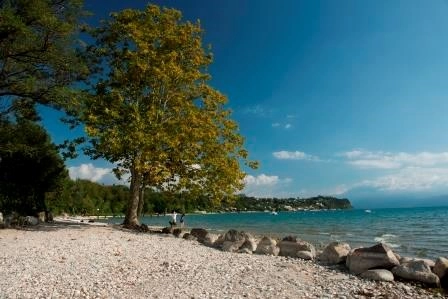 zobacz camping - zdjęcie 10