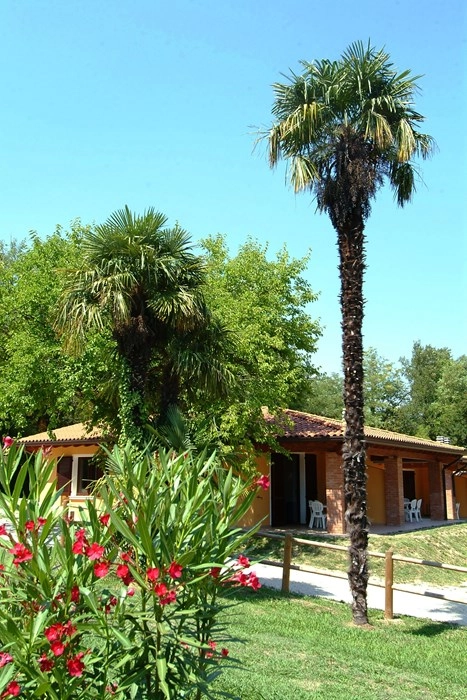 zobacz camping - zdjęcie 9