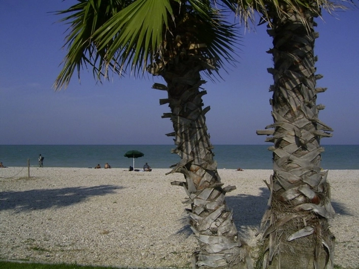 zobacz camping - zdjęcie 17