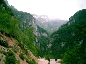 zobacz camping - zdjęcie 7