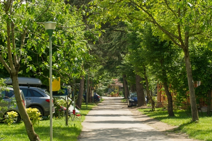 zobacz camping - zdjęcie 38