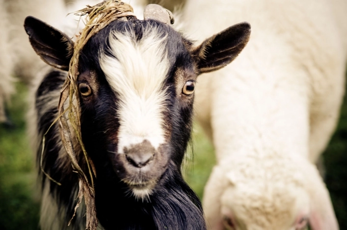 zobacz camping - zdjęcie 27