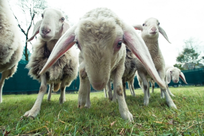 zobacz camping - zdjęcie 24