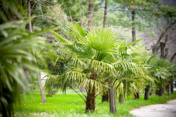 zobacz camping - zdjęcie 17