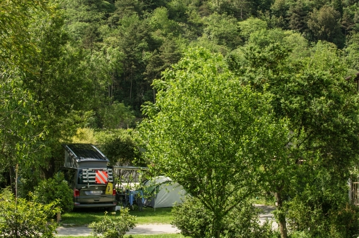 Camping Zoo - zdjęcie 4