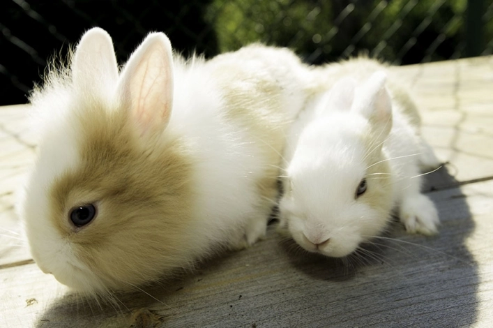 zobacz camping - zdjęcie 3