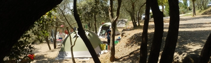 zobacz camping - zdjęcie 17