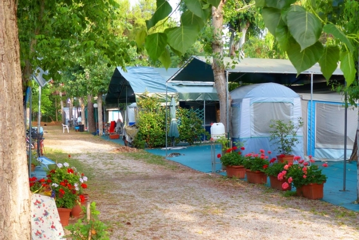 Campo al Fico - zdjęcie 1