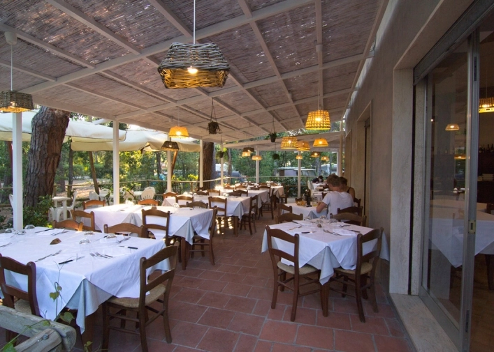 zobacz camping - zdjęcie 23