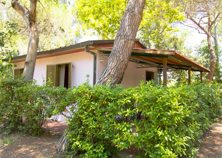 zobacz camping - zdjęcie 18