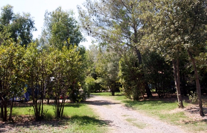 zobacz camping - zdjęcie 16