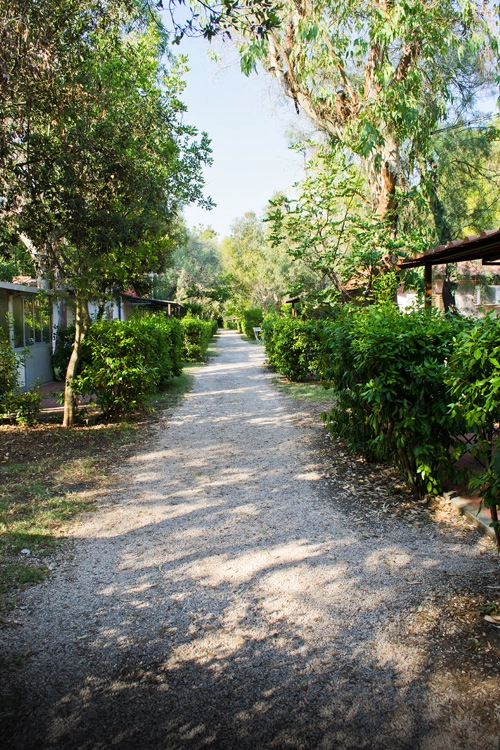 zobacz camping - zdjęcie 9